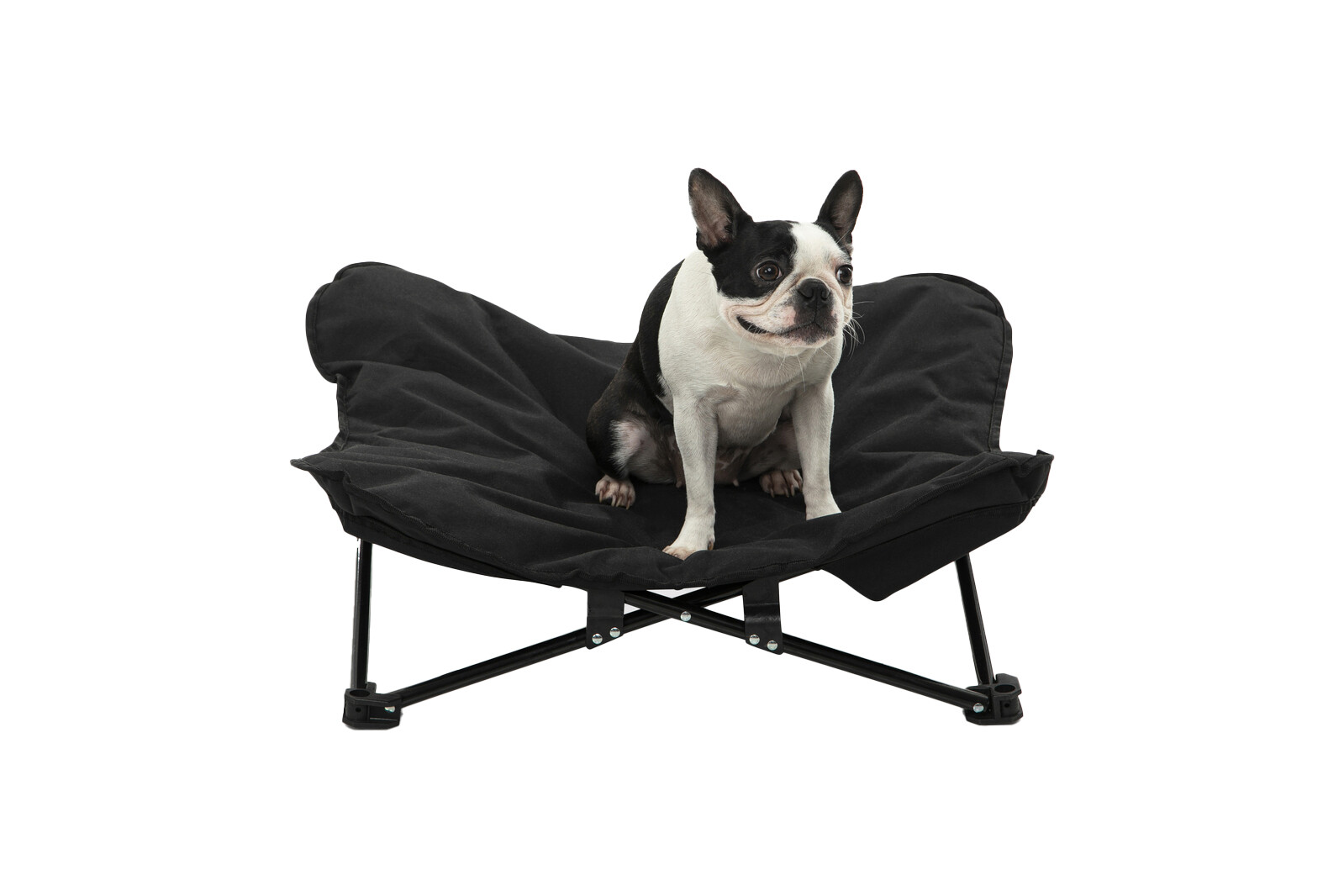 Charlie's Butterfly Portable & Foldable Outdoor Pet Chair for Dog & Cat