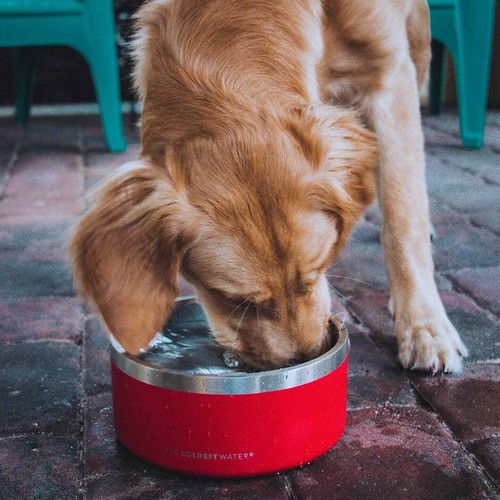 Coldest 42oz Dog Bowl - Stainless Steel Non Slip Dog Bowls, Cats, Pet Feeding - Picture 99 of 153