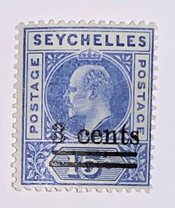 Dsw seychelles cheap