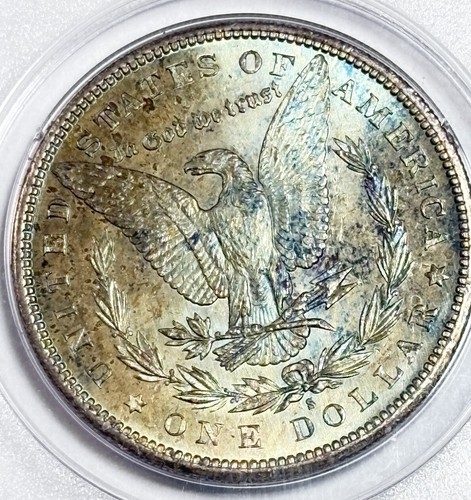 1880 S Toned Morgan $💎PCGS MS 65 OGH Rattler Holder💎Vibrant Rainbow 💎💎VIDEO - Bild 2 von 12