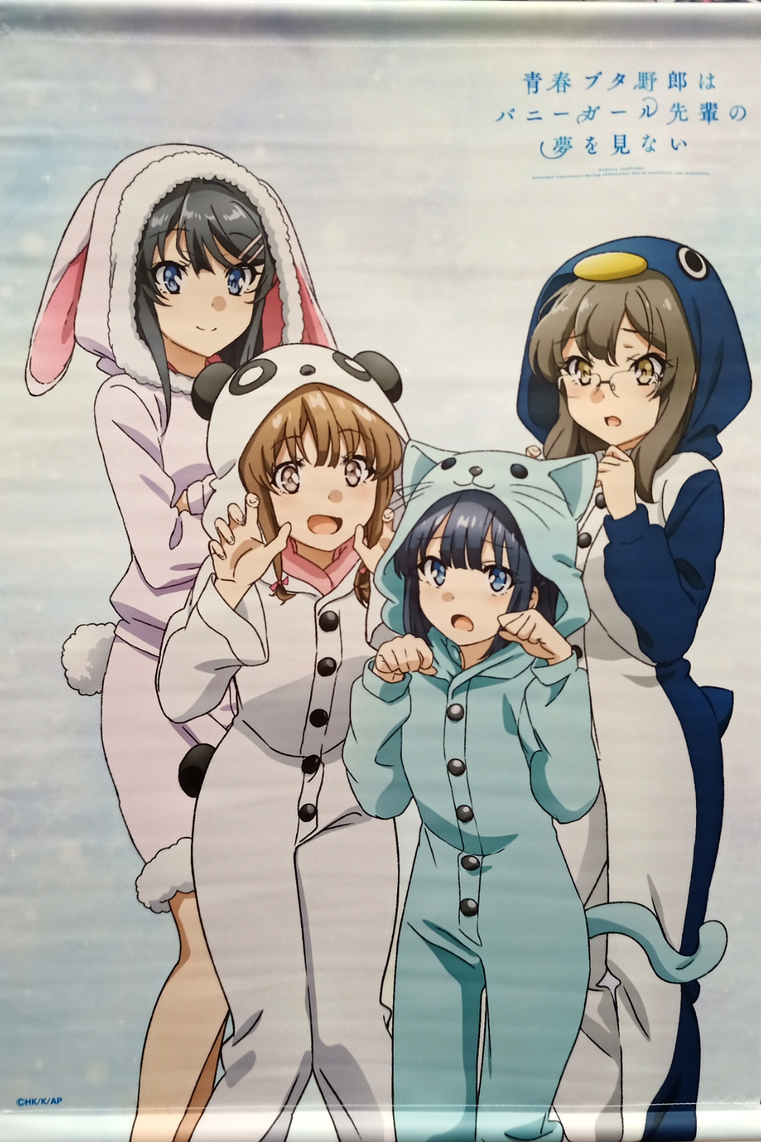  ROUNDMEUP Rascal Does Not Dream of Bunny Girl Senpai (Seishun  Buta Yarou wa Bunny Girl Senpai no Yume wo Minai) Anime Fabric Wall Scroll  Poster (32x45) Inches [A] Rascal Does Not