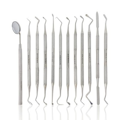 14 PCS Stainless Steel Micro Precision Probe Pick Tool Set Tips 5.56 Inch