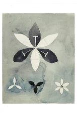 Postcard Hilma af Klint "Flowers" 1916 MINT Oversize