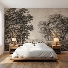 Countryside Photo Mural of Forest Engraving Painting with Trees & Path