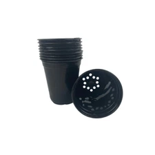 Quart Plastic Nursery Container, Set of 50, Flower Perennial Pot