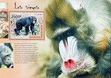 SELLO DE MONOS TOGO S/S 2014 MNH CHIMPANCÉ PRIMATE ANIMALES SALVAJES FAUNA FAUNA 1