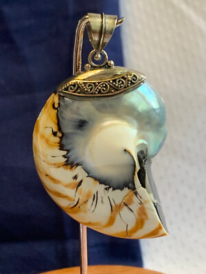 Sterling Silber Schneckenhaus Anhänger 14,33 g feiner Schmuck Charm