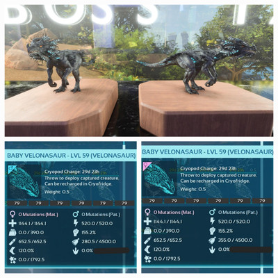 ARK ASA PVE OFFICIAL PAIR BABY VELONASAUR BLACK ID79 EXTINCTION PC/XBOX/PS5