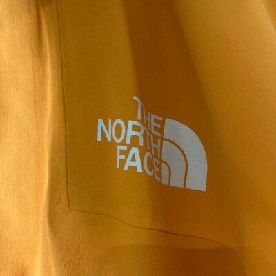 111 F04410 THE NORTH FACE FL L5 ジャケット THE NORTH FACE FL L5 Jacket Snowboard Jacket 111 F04410 size
