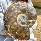 Bild 8 von 12