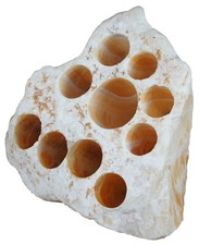 102lb Honeycomb Calcite Amber Onyx Rock Stone Crystal Formation Drilled Holes
