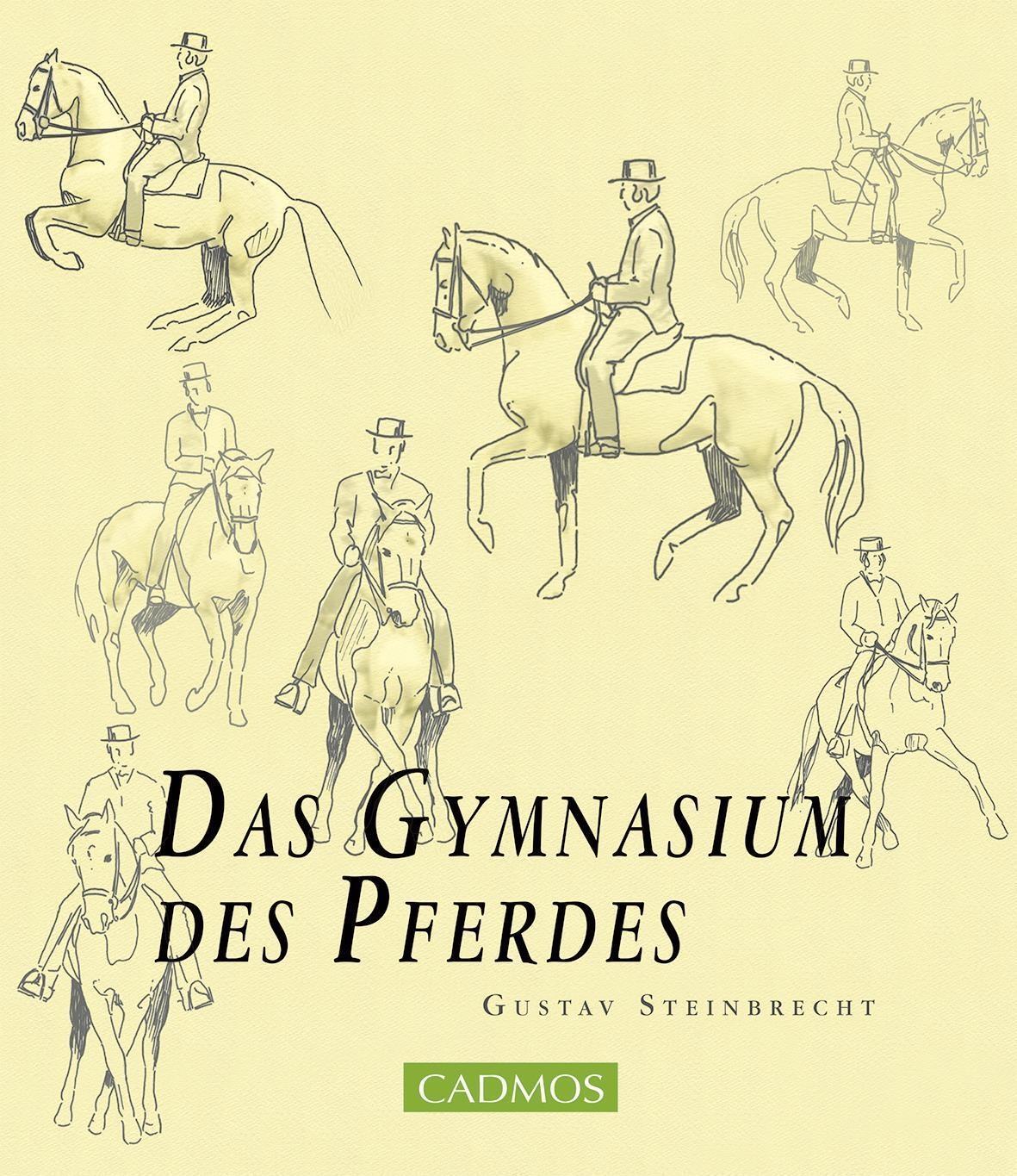 Das Gymnasium Des Pferdes, Gustav Steinbrecht