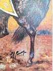 Foto 8 di 11