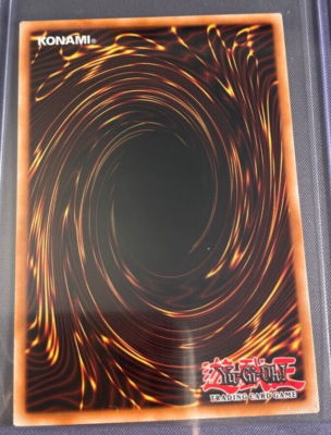 Yu-Gi-Oh! Will Of The Salamangreat - SOFU-EN053 Common Card - Soul Fusion 1st Edition