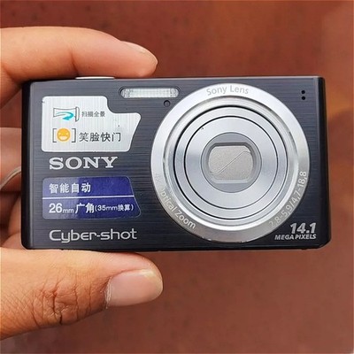 Sony Cyber-shot DSC-W610 14.1MP Digital Camera with 4xOptical Zoom