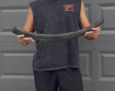 HUGE MAMMAL RIB BONE FOSSIL WITH PREDATION MARKINGS (FEEDING DAMAGE) 27”