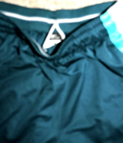 耐克 Dri-Fit 灰色/蓝绿色聚乙烯篮球短裤 尺寸 L 抽绳口袋 W27/L11 - 第 4 张/共 4 张