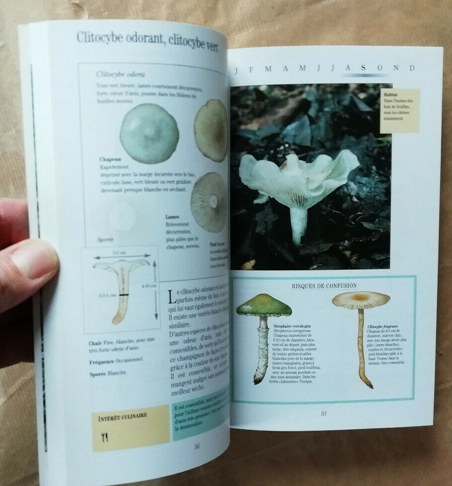 Photo 9/10