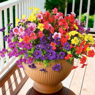 INQCMY 8.7 inches (D) x (W) x 14.1 (H), 6 Mix Color-1