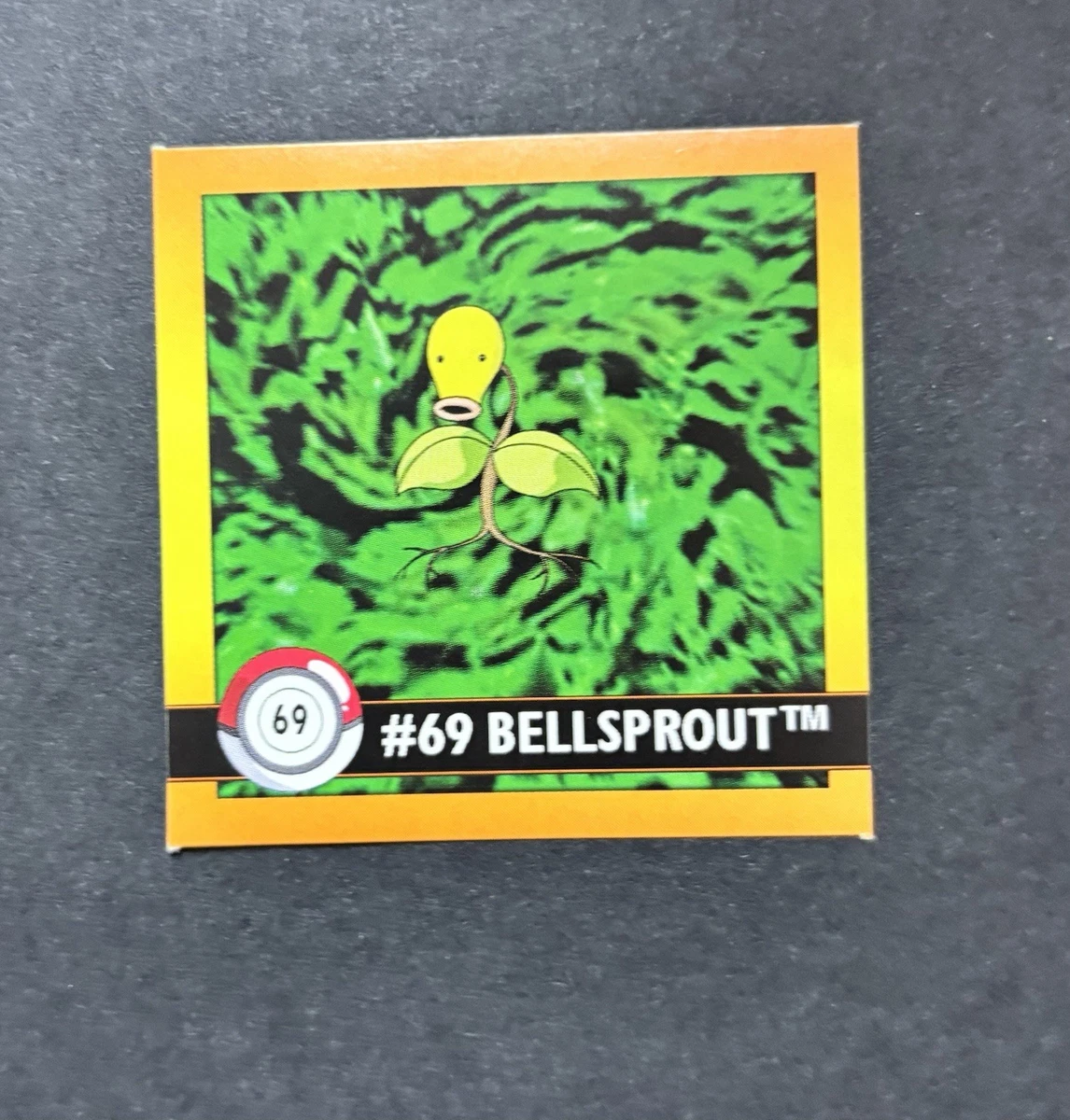 Pikachu Pokémon TCG ArtBox Collectible Individual Card Games for