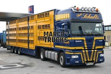 Truck Photo DAF XF Livestock Transporter Germany Blue Dirk Schultz #i9jm
