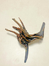 racine CISELEE PRETE a l