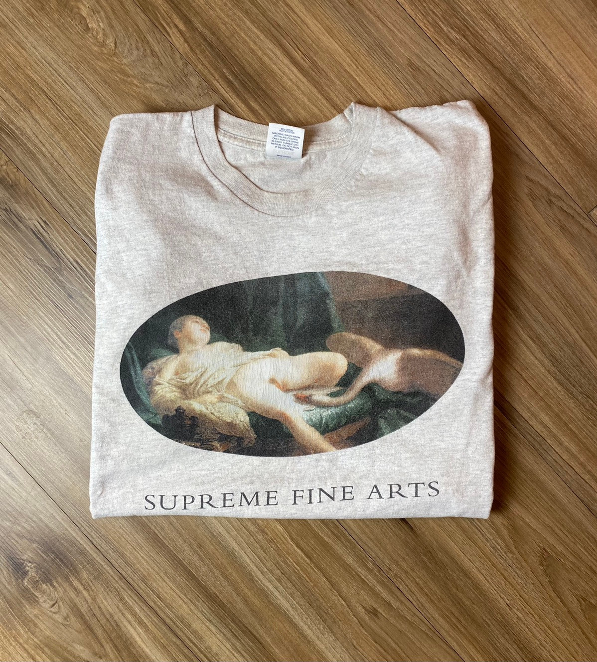 Supreme Leda And The Swan Tee - Gem