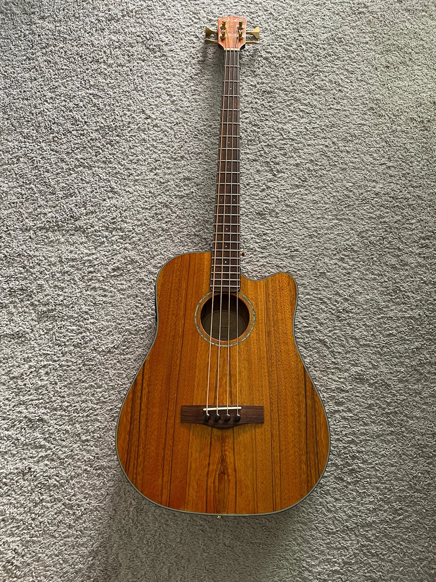 Fender victor bailey acoustic bass deals