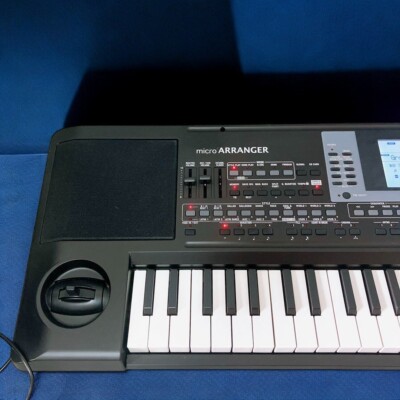 KORG micro ARRANGER 61-key Synthesizer Keyboard Music Instruments