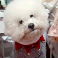 2025 Christmas Pet Collar – Winter Plush Cat/Dog Triangle Scarf with Bell, Cute