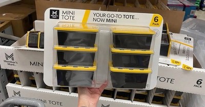 Member's Mark Mini Tote 6 Pack Black & Yellow Plastic Lidded Storage Containers