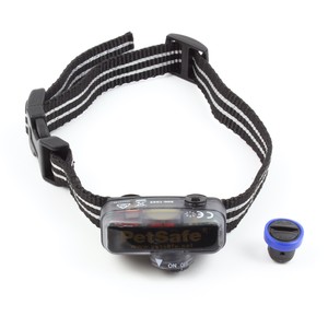 petsafe little dog collar