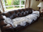 Premium Genuine Sheepskin Rug White Grey Real Australia Sheepskin Natural Luxury