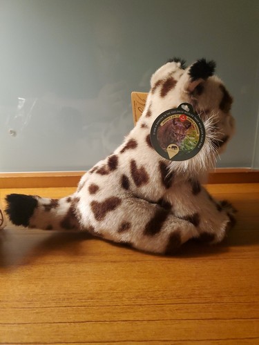 Aurora Myoni Tots Plush Iberian Lynx Cat Kitten Cub NWT Endangered Spotted Cream - Picture 3 of 9