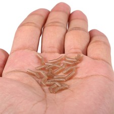 Fishing Line Aligner Anti- Hook Sleeves Bent Hook Aligner Carp Fishin NWYT