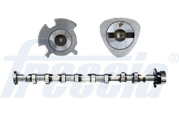 Nockenwelle Freccia CM05-2246 FüR Vw Seat Audi Skoda Eos 1F7 1F8 Golf 5 Variant-image