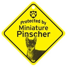 Protected by Miniature Pinscher Window Sign Made in USA 5 1/2 x 5 1/2