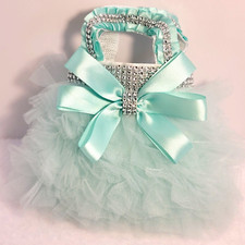 Sale Teen/Women Mint Handmade Tutu Dressy Princess, pageant, fancy, frilly Purse