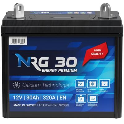 Rasentraktor Aufsitzmäher Batterie 12V 30AH 300A/EN ABSOLUT WARTUNGSFREI 53034