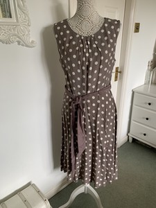 debenhams new in occasion dresses