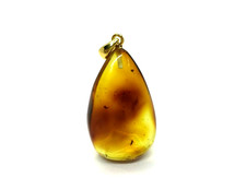 Pendentif Ambre avec Insectes
