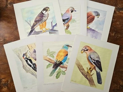 P. Förster (Österreichische Schule, 20. Jhd): 7 Vogelstudien - Bild 1 von 4