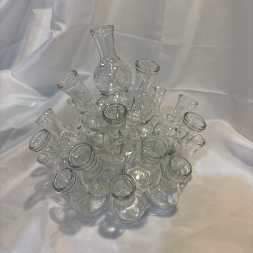 VTG Glass Beaker Plant Propagation Station 25 Test Tube Vase Rooter 2 Piece Set - Picture 2 of 7