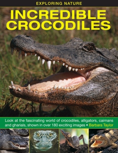Exploring Nature: Incredible Crocodiles by Barbara Taylor HARDBACK 9781861473677