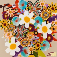 Sonny & the Sunsets - Self Awareness Through Macrame [Used Very Good Vinyl LP]