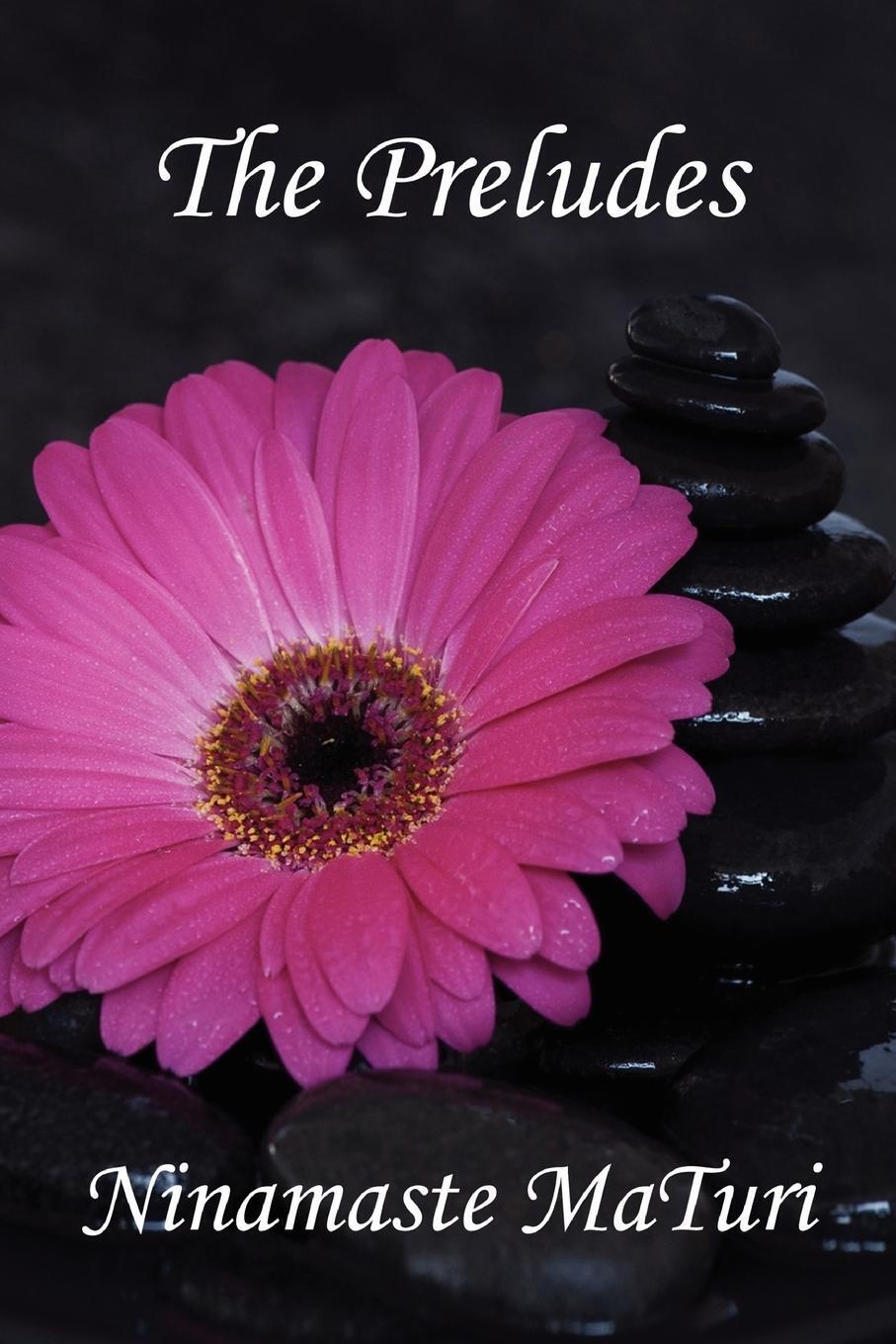 The Preludes Ninamaste Maturi Taschenbuch Paperback Englisch 2011