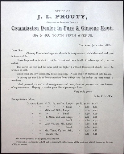 1885 J.L. Prouty Commission Dealer in Furs & Ginseng Root Letterhead ...