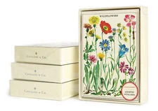 Cavallini & Co. Wildflowers Boxed Notecards, Assorted