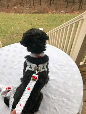 crochet dog harness