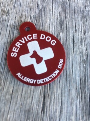 Large Personalized Aluminum Allergy Detection Service Dog Pet ID Tag EMAIL INFO